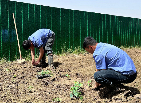 圖片3.png 圖片3.png