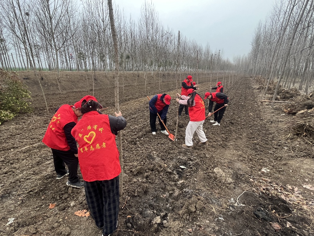 3 五蒙高速TJ-05標開展志愿植樹活動.jpg